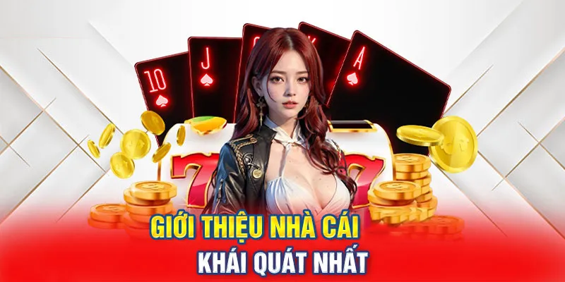 Tại sao nên chọn tf88